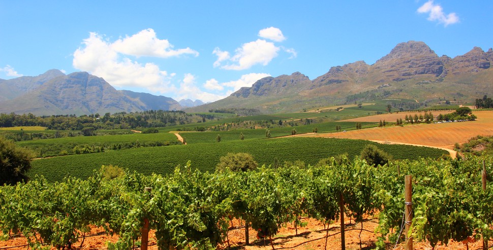 Stellenbosch wineroute