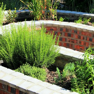 herb garden