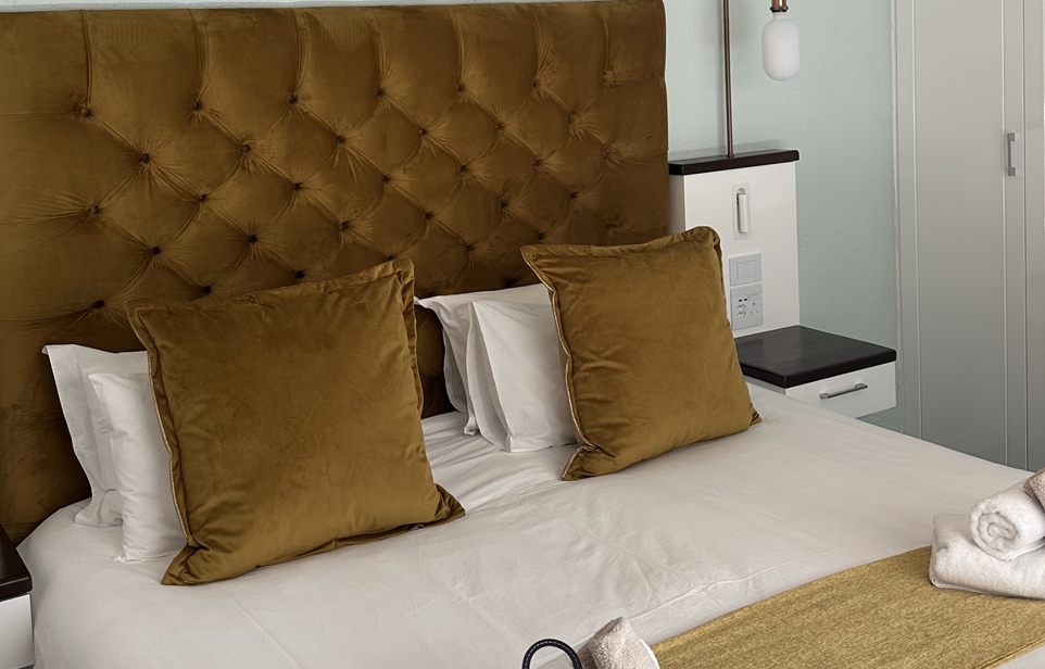 Lion bed closeup Lion bed closeup