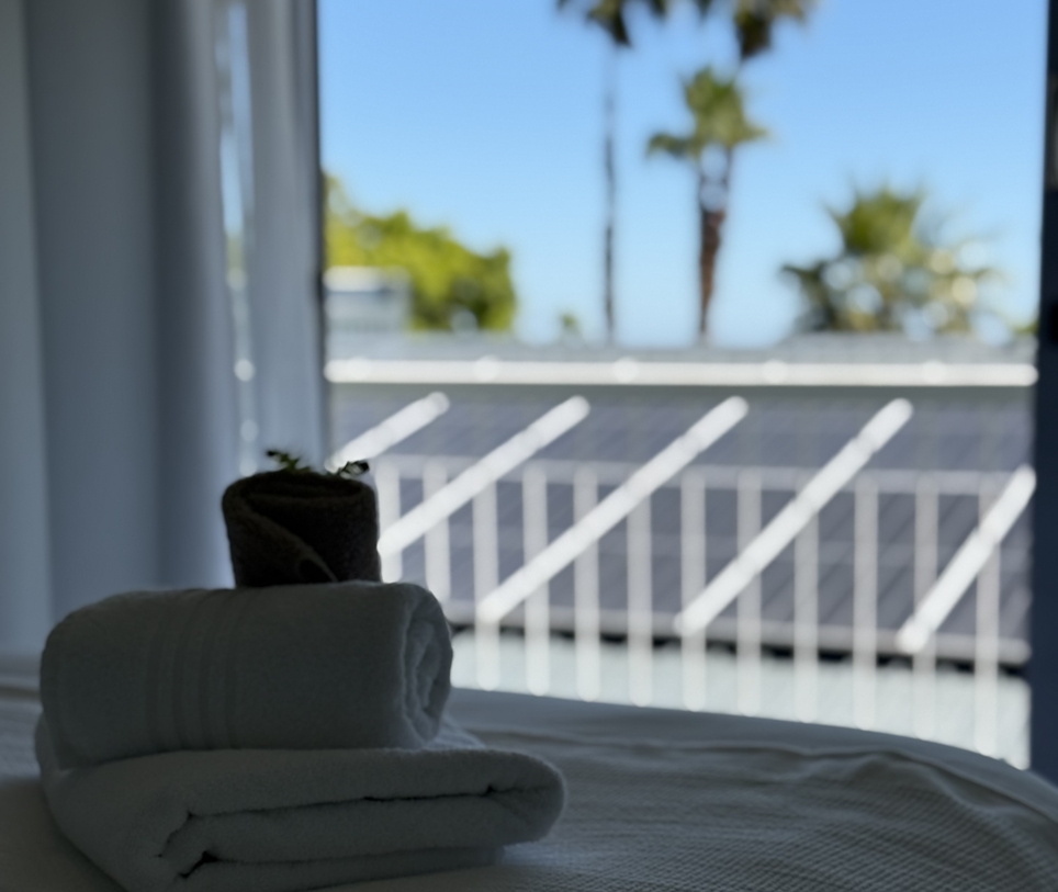 Rhino Room Rhino Room