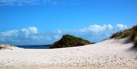 The beach nearby