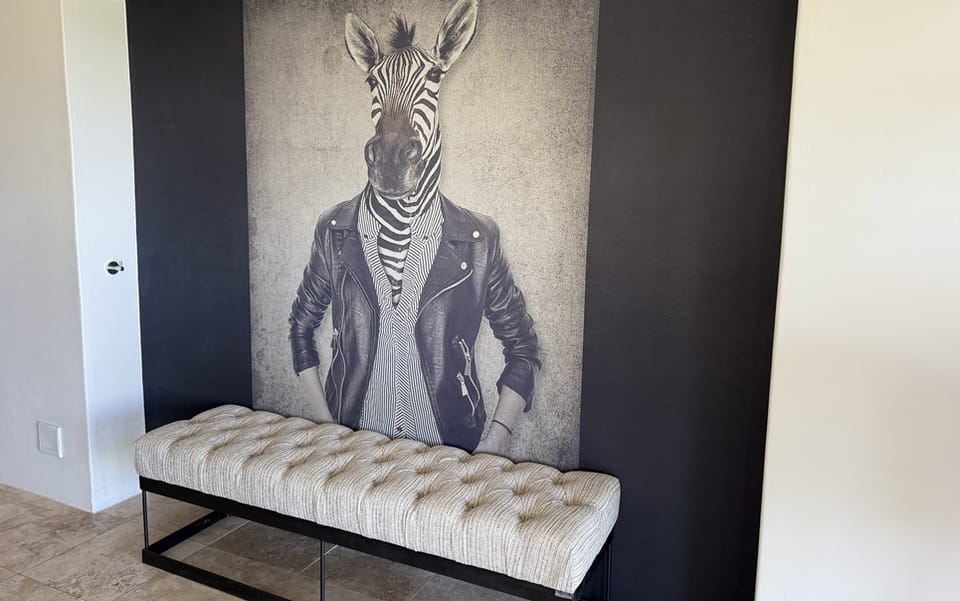 Zebra Suite — photo 1 of 8